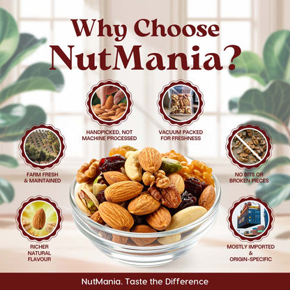 Signature Dry Fruits Mix – PLAIN
